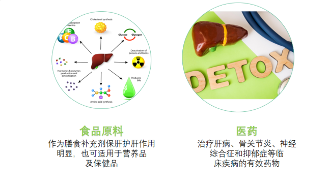 古特生物 食品原料和醫藥