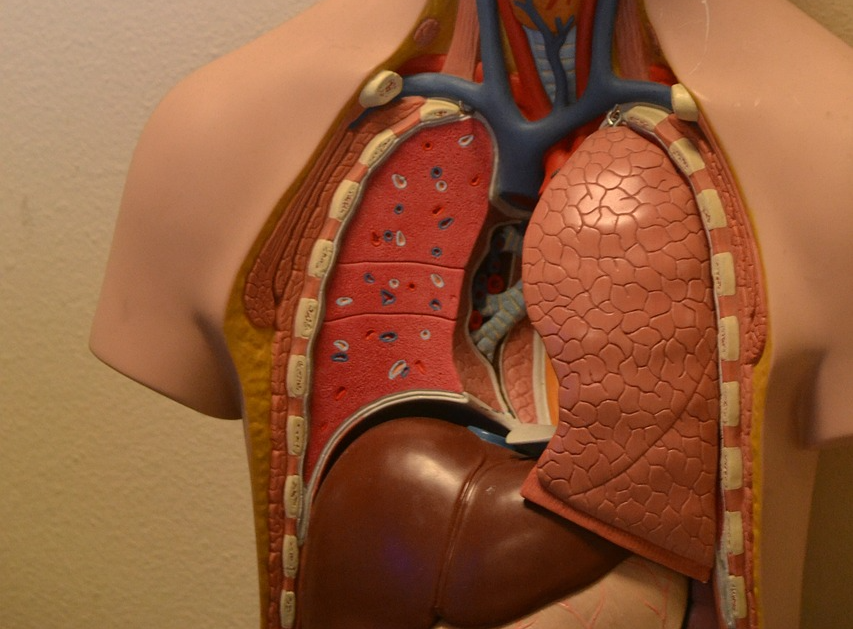 古特生物 古特生物