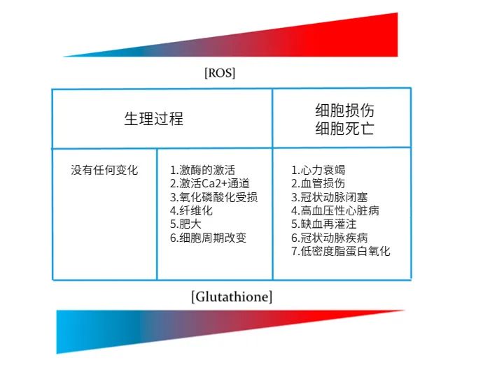 古特生物 古特生物