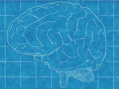 古特生物 古特生物