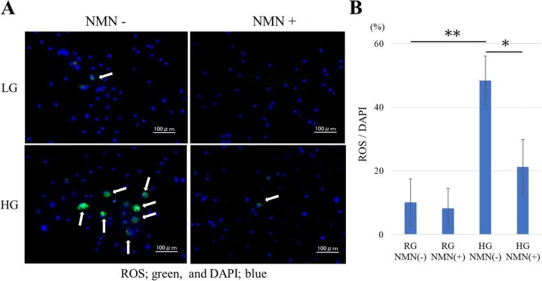 古特生物 古特生物