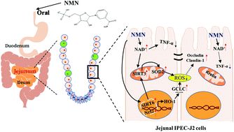古特生物 古特生物