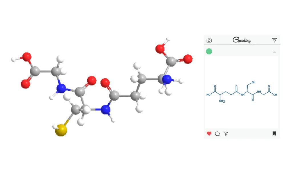 古特生物 古特生物