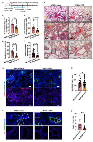 古特生物 古特生物