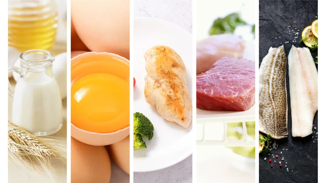 古特生物 古特生物