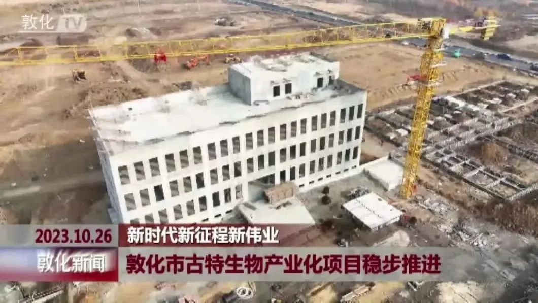 延邊這一項(xiàng)目預(yù)計(jì)2024年10月份交付使用 延邊這一項(xiàng)目預(yù)計(jì)2024年10月份交付使用