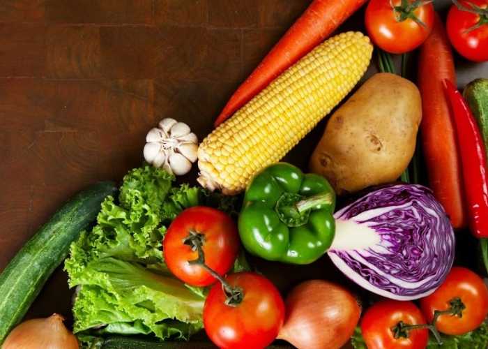 古特生物 健康的飲食