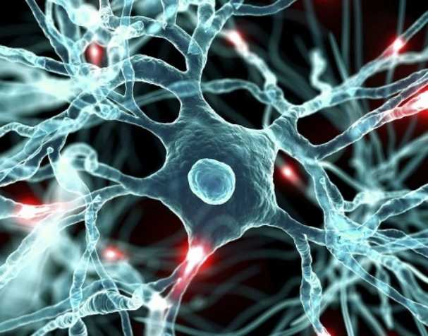 古特生物 NAD促進神經健康