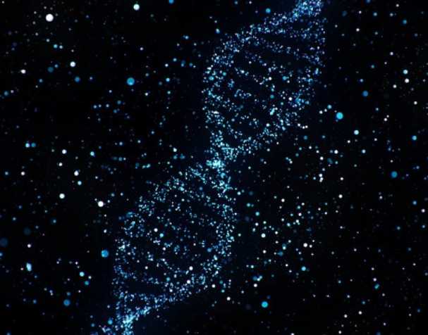 古特生物 煙酰胺核糖氯化物有什么優勢?