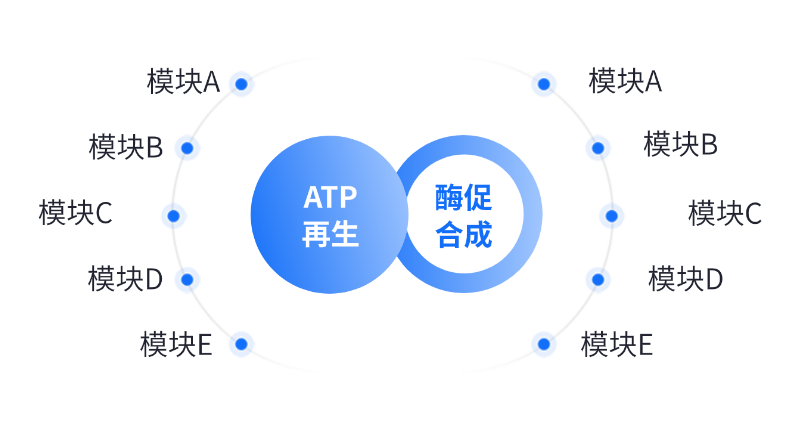 酶法生產應用領域 酶法生產應用領域
