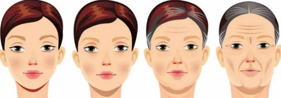 煙酰胺與NAD/NADH代謝 煙酰胺與NAD/NADH代謝