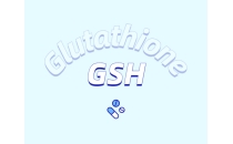 當你開始服用谷胱甘肽時，你的身體會發生什么變化？