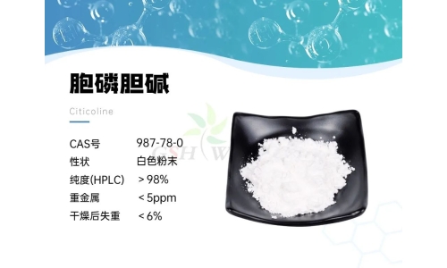 產品資訊 - 胞磷膽堿在視網膜病理學中的作用