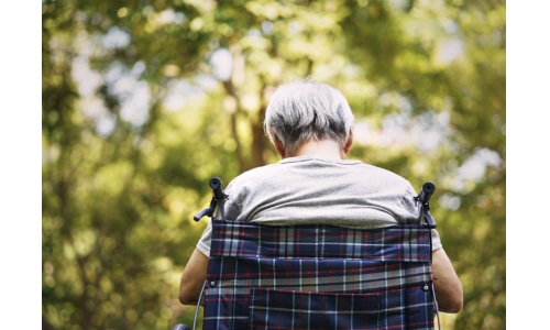 NMN對于老年人睡眠質量的影響