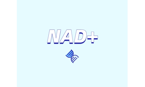 NAD+前體是如何緩解衰老的？