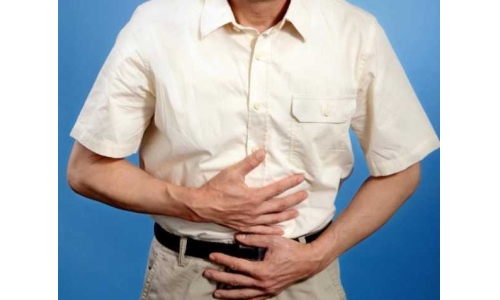 哪些成分對維護腸道健康有效？