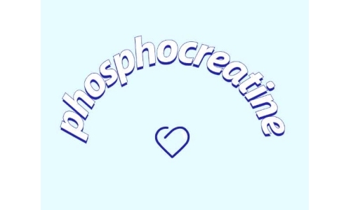 認識一下磷酸肌酸鈉